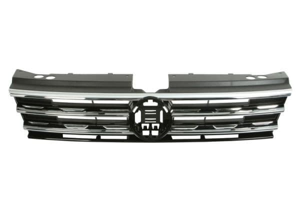 6502079588991p BLIC Решітка радіатора