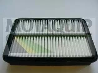 vfa1172 Motaquip Повітряний фільтр