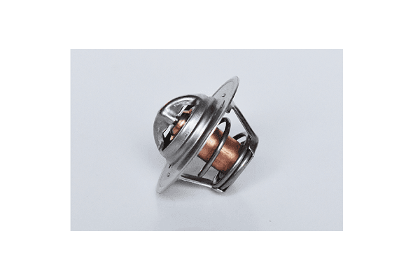 73459 Asam Термостат