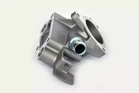 55579 Asam Фланець охолоджувальної рідини для Dacia Logan