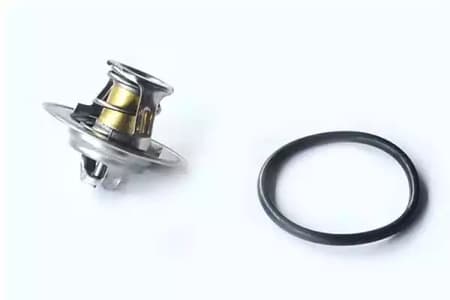 80273 Asam Термостат для Audi A3