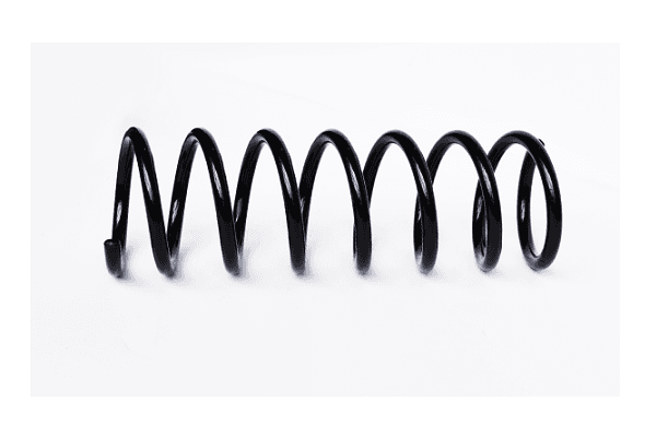 73805 Asam Пружина підвіски