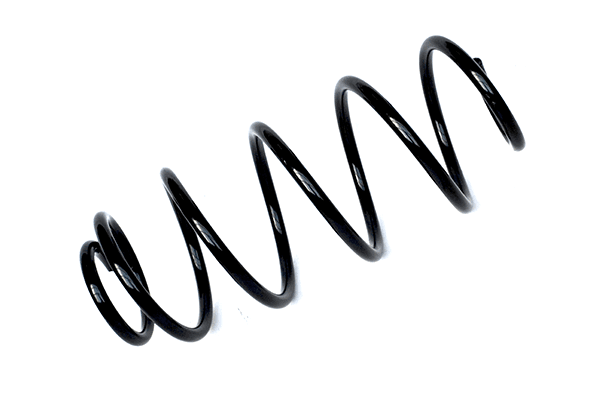 75961 Asam Пружина підвіски