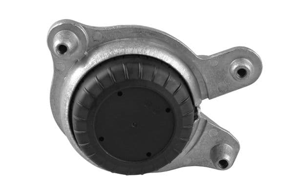 ted57865 Tedgum Подушка двигуна для Mercedes C-Class