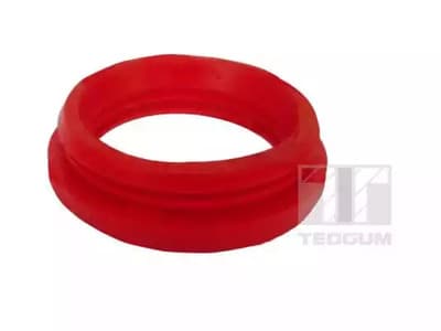 00748698 Tedgum Ремкомплект вакуумного усилителя тормозной системы