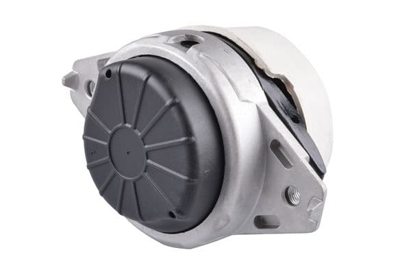 ted48294 Tedgum Подушка двигателя