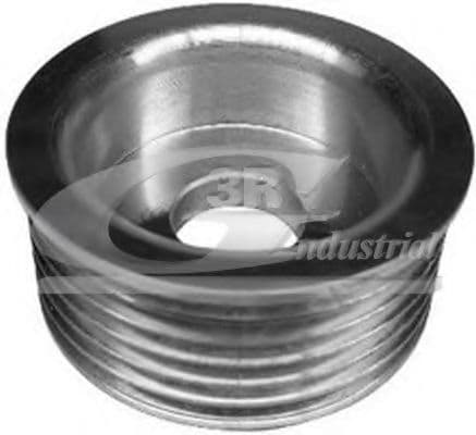 10224 3RG Шків генератора