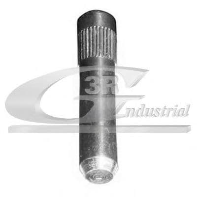 80721 3RG Вісь петлі дверей