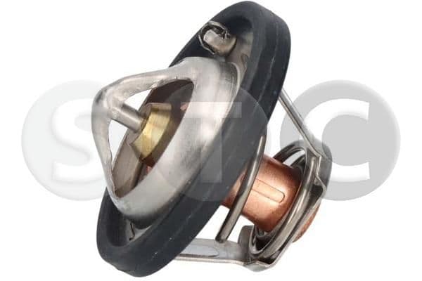 t403091 STC Термостат