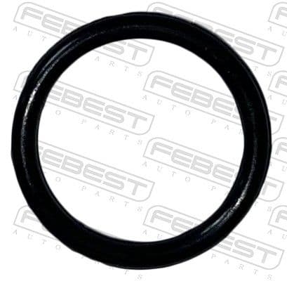 23400032 Febest Прокладка фланця охолоджувальної рідини