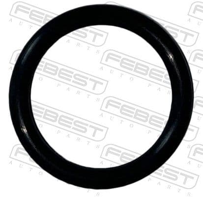 02400022 Febest Прокладка фланця охолоджувальної рідини