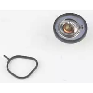 27379 OSSCA Термостат