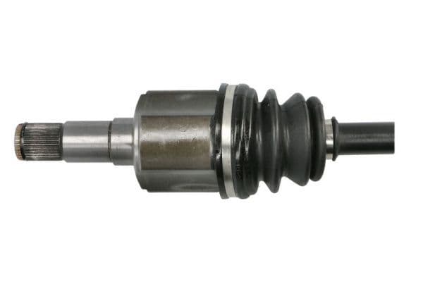 g2y009pc Pascal Піввісь