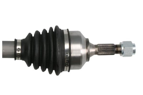 g2c089pc Pascal Піввісь