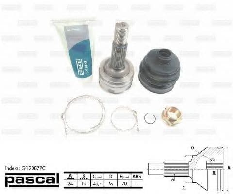 G12087PC Pascal ШРУС