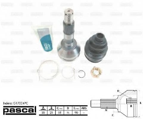 G17004PC Pascal ШРУС