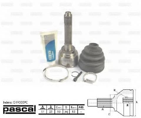 G19003PC Pascal ШРУС