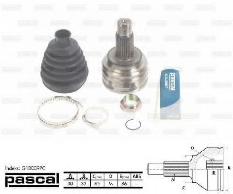 G1B009PC Pascal ШРУС для BMW X3