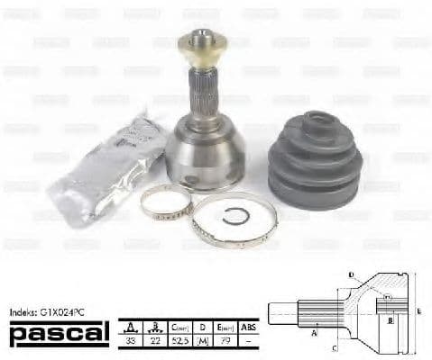 G1X024PC Pascal ШРУС