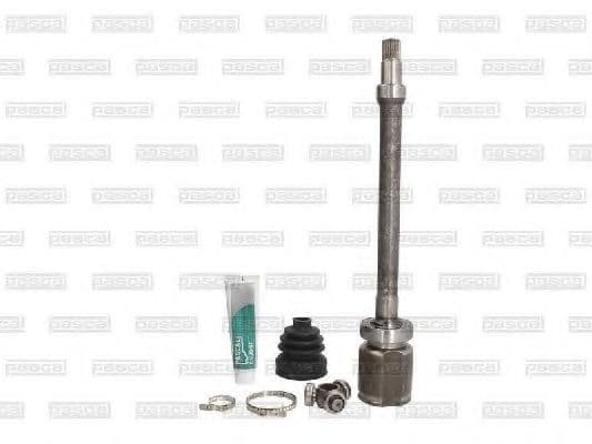 G8G010PC Pascal Граната