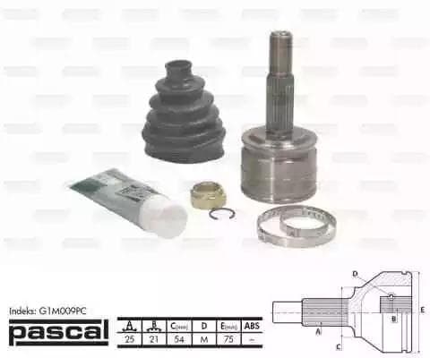 G1M009PC Pascal ШРУС