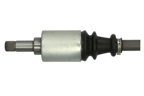 g2c029pc Pascal Піввісь