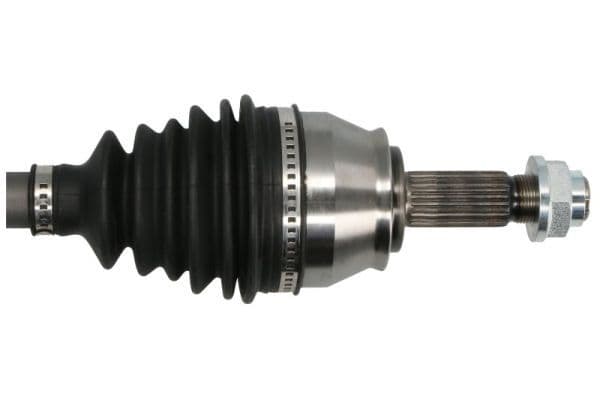 g2f030pc Pascal Піввісь