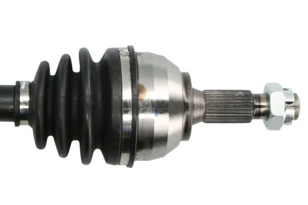 g2c187pc Pascal Піввісь