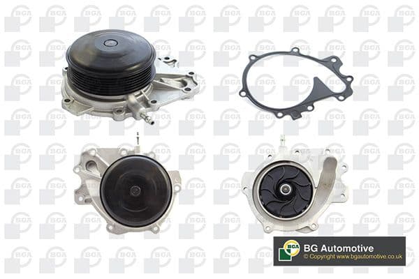 cp5609 BGA Помпа