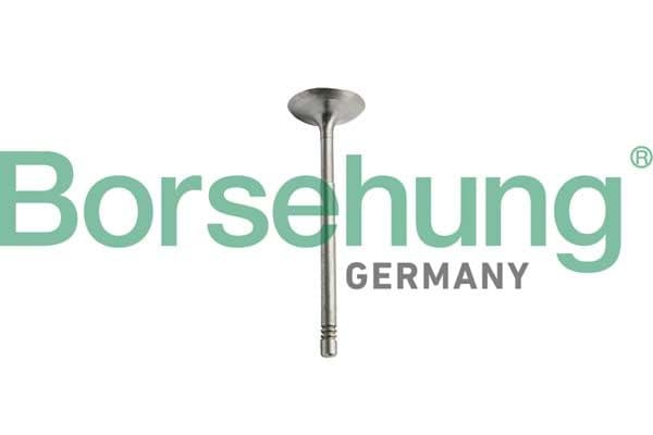 b10351 Borsehung Впускной клапан