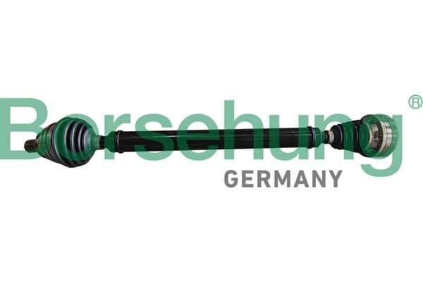 b10594 Borsehung Піввісь