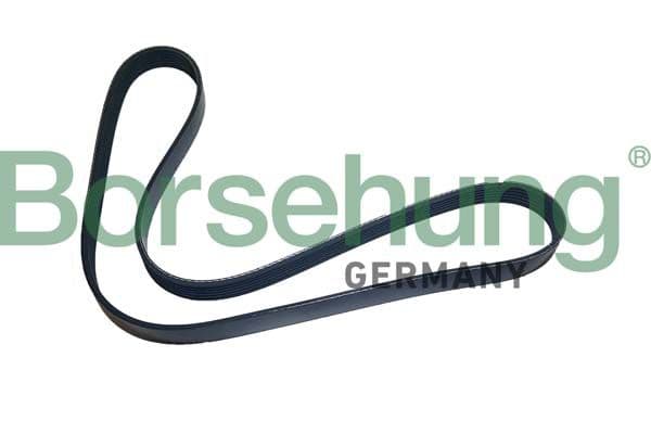 b12501 Borsehung Поликлиновой ремень для BMW 1 Series