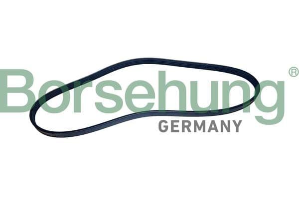 b12497 Borsehung Поликлиновой ремень