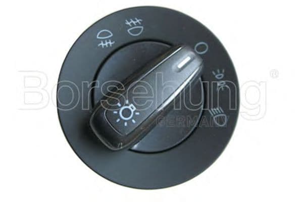 B12430 Borsehung Топливный абсорбер