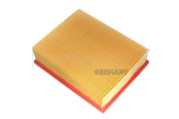 B12805 Borsehung Повітряний фільтр