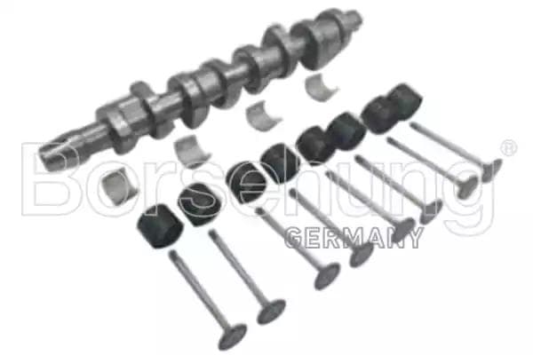 B17129 Borsehung Ремкомплект балансирного вала