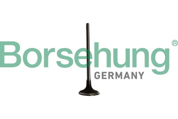 b10334 Borsehung Впускной клапан