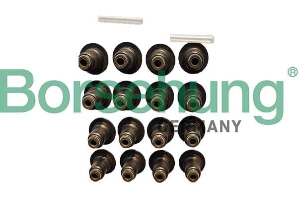 b12506 Borsehung Сальник клапана