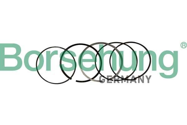 b10369 Borsehung Комплект поршневых колец