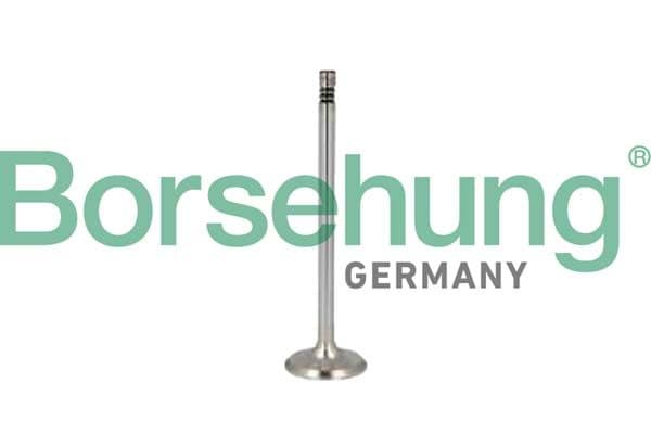 b10350 Borsehung Выпускной клапан