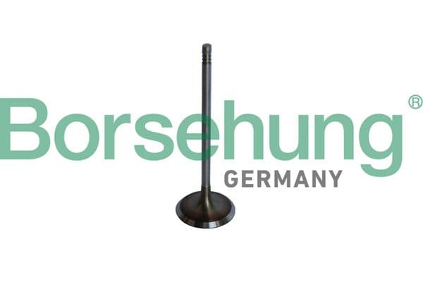 b10325 Borsehung Впускний клапан