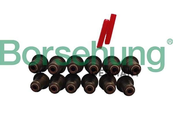 b12508 Borsehung Сальник клапана