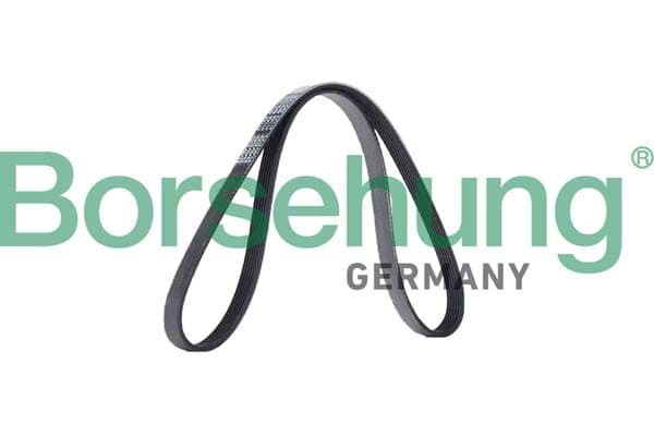 b12385 Borsehung Поликлиновой ремень