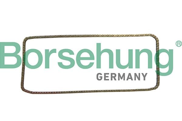 b1c029 Borsehung Ланцюг ГРМ