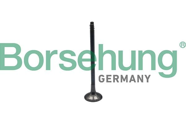 b10324 Borsehung Випускний клапан