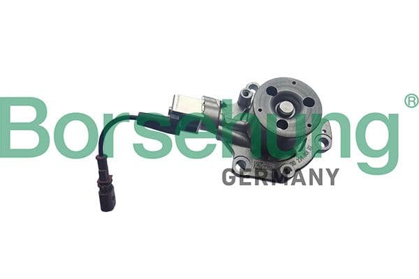 b11224 Borsehung Помпа