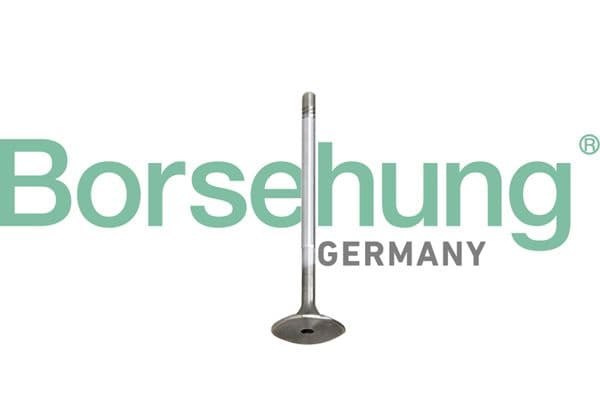 b10345 Borsehung Впускной клапан