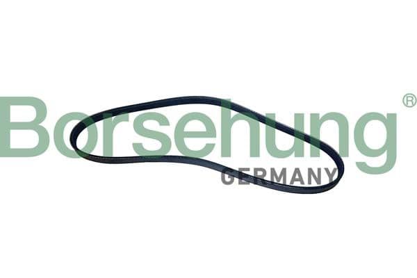 b12496 Borsehung Поликлиновой ремень