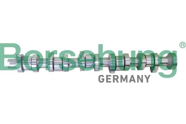 b12299 Borsehung Розподільний вал