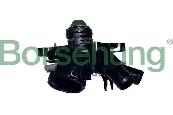 b10557 Borsehung Термостат